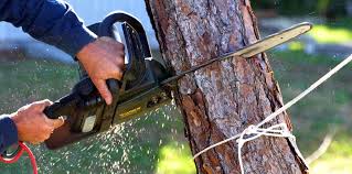 Best Pest Control for Lawns  in Warren, OR